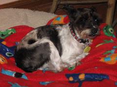 Splash4.JPG Splash4.JPG